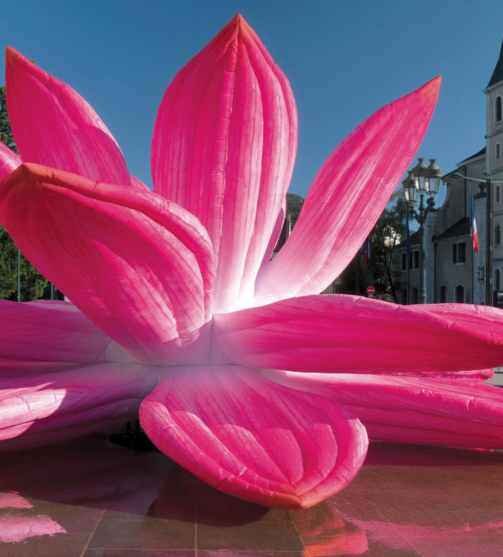 3_Breathing Lotus Flower ©Marc Domage